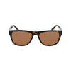 Converse Brown Haircalf Sunglasses