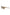 Frankie Morello Brown Acetate Women Sunglass