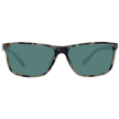 Gant Brown Unisex Sunglasses