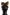 Dolce & Gabbana Elegant Gold Embellished Silk Diadem