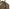 Karl Lagerfeld Elegant Green Shoulder Handbag