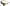 Dolce & Gabbana Chic Tortoiseshell Acetate Sunglasses