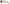 Dolce & Gabbana Chic Tortoiseshell Acetate Sunglasses