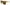 Dolce & Gabbana Stellar Chic Square Sunglasses in Yellow