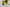 Dolce & Gabbana Stellar Chic Square Sunglasses in Yellow