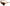 Dolce & Gabbana Chic Orange Round Sunglasses for Women