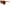 Dolce & Gabbana Chic Orange Round Sunglasses for Women
