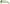 Dolce & Gabbana Acid Green Chic Full Rim Sunglasses