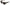 Dolce & Gabbana Elegant Multicolor Gradient Sunglasses