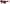 Dolce & Gabbana Sicilian Lace Accented Designer Sunglasses