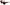 Dolce & Gabbana Chic Sicilian Lace Tinted Sunglasses