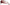 Dolce & Gabbana Chic Sicilian Lace Tinted Sunglasses