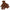 Dolce & Gabbana Elegant Brown Cashmere Winter Gloves