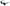 Dolce & Gabbana Sicilian Lace Crystal-Infused Sunglasses