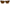 Dolce & Gabbana Chic Acetate Designer Sunglasses