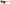 Dolce & Gabbana Chic Acetate Designer Sunglasses