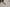 Dolce & Gabbana Chic Acetate Designer Sunglasses