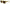 Dolce & Gabbana Chic Yellow Acetate Gradient Sunglasses