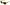Dolce & Gabbana Chic Yellow Acetate Gradient Sunglasses