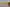 Dolce & Gabbana Chic Yellow Acetate Gradient Sunglasses