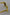 Dolce & Gabbana Chic Yellow Acetate Gradient Sunglasses