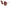 Dolce & Gabbana Chic Rose Sequin Embroidered Sunglasses