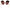 Dolce & Gabbana Chic Rose Sequin Embroidered Sunglasses