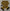 Dolce & Gabbana Elegant Yellow Silk Men's Scarf
