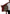 Dolce & Gabbana Elegant Red Striped Long Robe Luxury Wear
