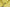 Dolce & Gabbana Elegant Yellow Hooded Jacket