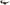 Dolce & Gabbana Elegant Black Multicolor Gradient Sunglasses