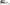 Dolce & Gabbana Elegant Black Multicolor Gradient Sunglasses