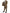 Dolce & Gabbana Elegant Brown Silk Blend Taormina Suit