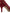 Dolce & Gabbana Radiant Red Lace Heels with Crystals