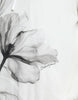 Dolce & Gabbana Elegant Floral Silk Hooded Pullover