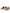 Dolce & Gabbana Elegant Beige Leather Loafers