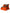 Dolce & Gabbana Orange Breezy High-Top Sneakers Charm