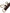 Dolce & Gabbana Elegant Calf Leather Belt with Metal Buckle Closure