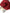 Dolce & Gabbana Red Silk Floral Gold Brass Women Hair Comb