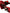 Dolce & Gabbana Red Cherry Sicily Embellished Women Hairband Diadem