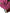Dolce & Gabbana Red Watermelon Cherry Crystal Hairband Statement Diadem