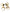 Dolce & Gabbana Gold Brass KING Enamel Set of 4 Ring