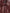 Dolce & Gabbana Maroon Exotic Leather Zip Biker Coat Jacket