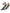 Dolce & Gabbana Brown Exotic Leather Crystal Sandals Shoes