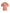 Dolce & Gabbana Coral Cotton Logo Print Short Sleeve T-shirt