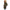 Moose Knuckles Army Cotton Women's Parka Jacket