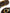 Dolce & Gabbana Mustard Crystal Calf Leather Beachwear Shoes