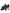 Dolce & Gabbana Black Leather Logo Heels Mary Janes Pumps Shoes