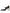 Dolce & Gabbana Black Leather Logo Heels Mary Janes Pumps Shoes