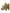 Dolce & Gabbana Gold Leather Crystal Mary Janes Pumps Shoes